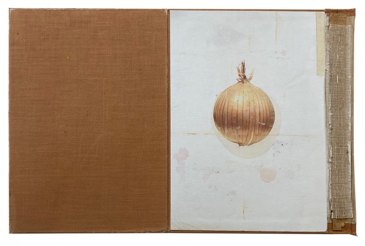 Onion, watercolor and colored pencil on book